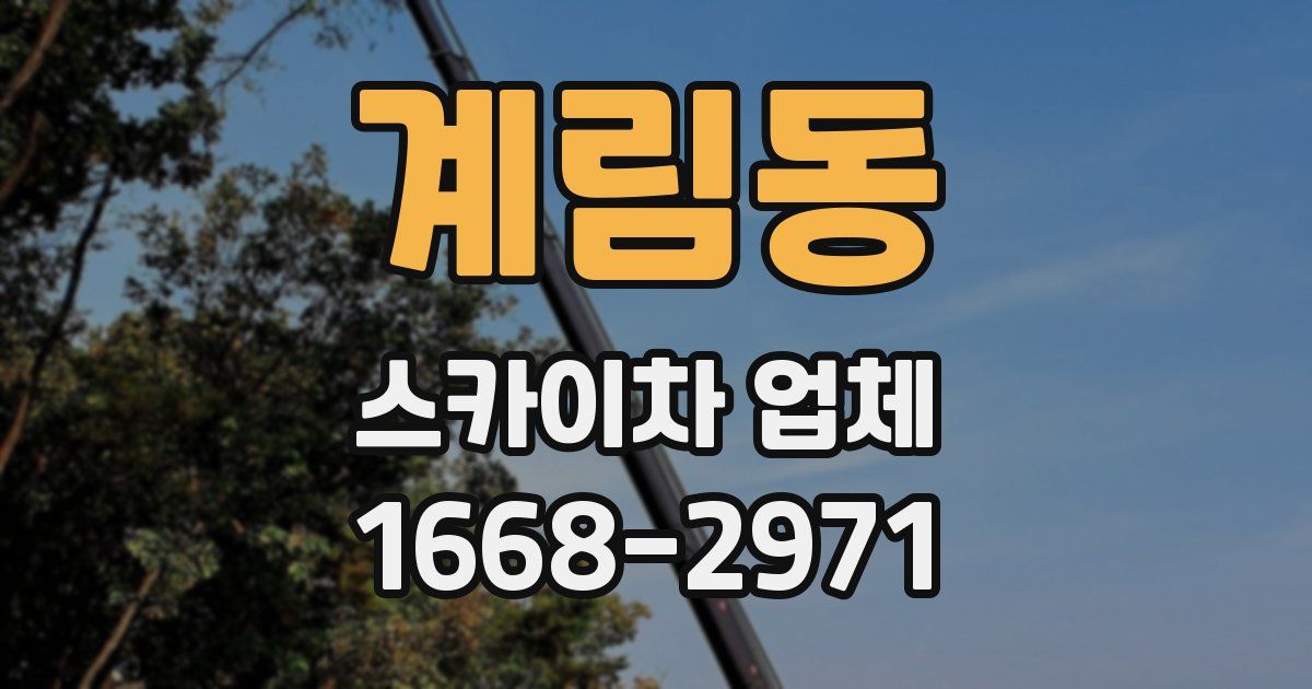 계림동 스카이차 업체
