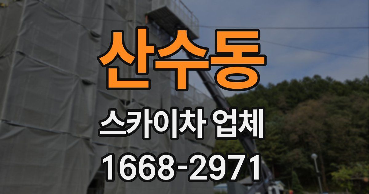 산수동 스카이차 업체