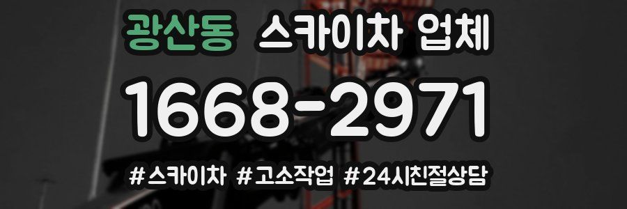 광산동 스카이차 업체