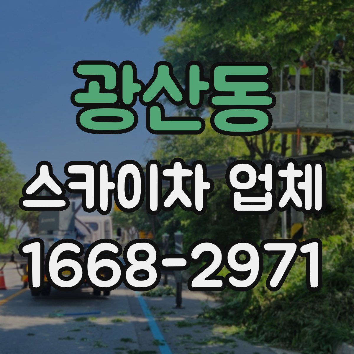 광산동 스카이차 업체