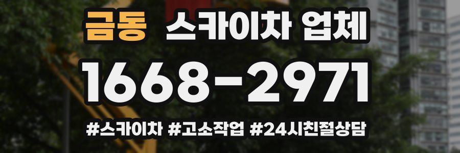 금동 스카이차 업체