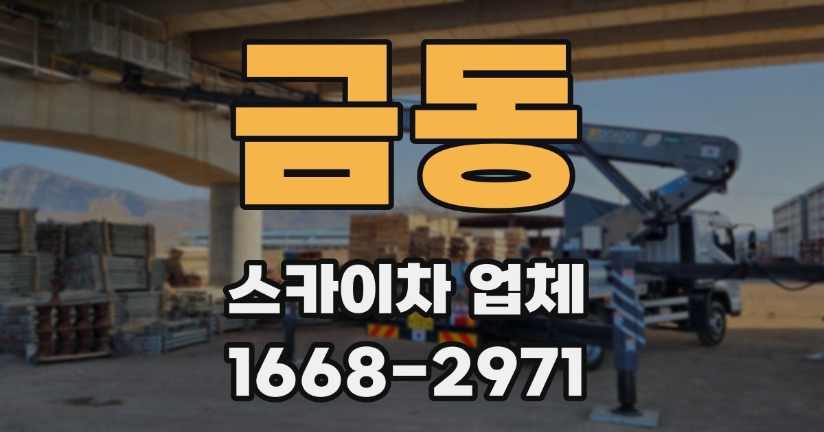 금동 스카이차 업체