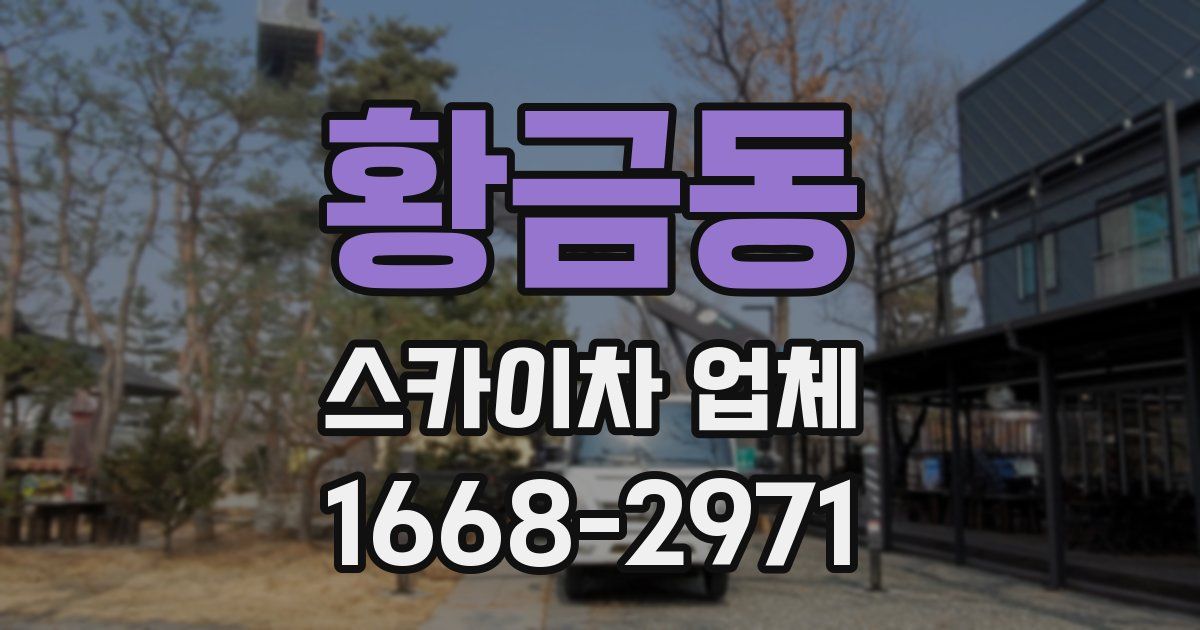 황금동 스카이차 업체