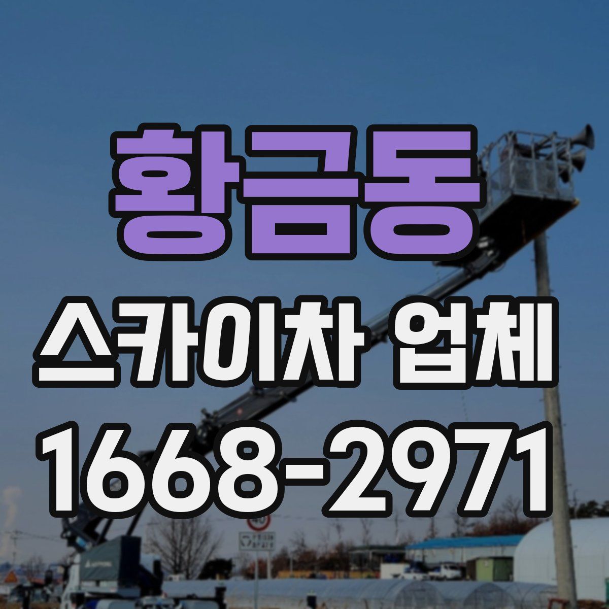 황금동 스카이차 업체