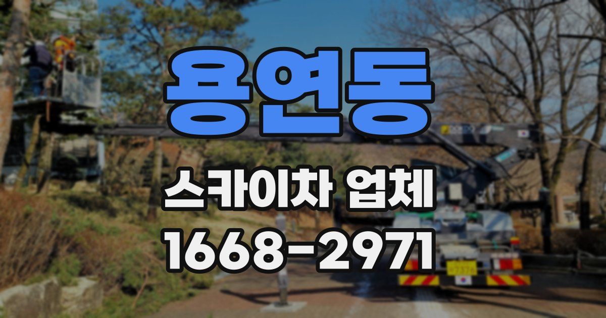 용연동 스카이차 업체