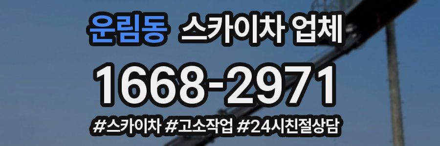 운림동 스카이차 업체