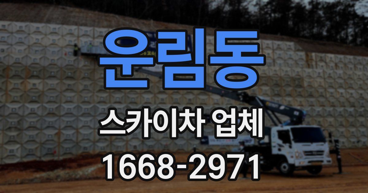 운림동 스카이차 업체
