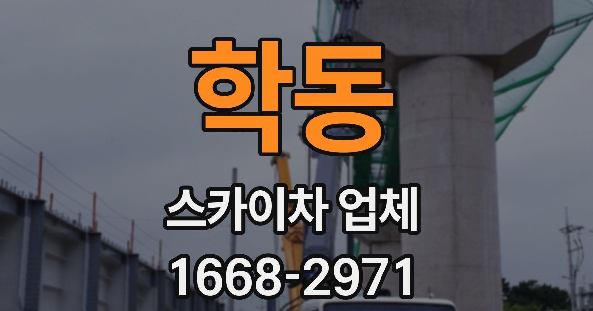 학동 스카이차 업체