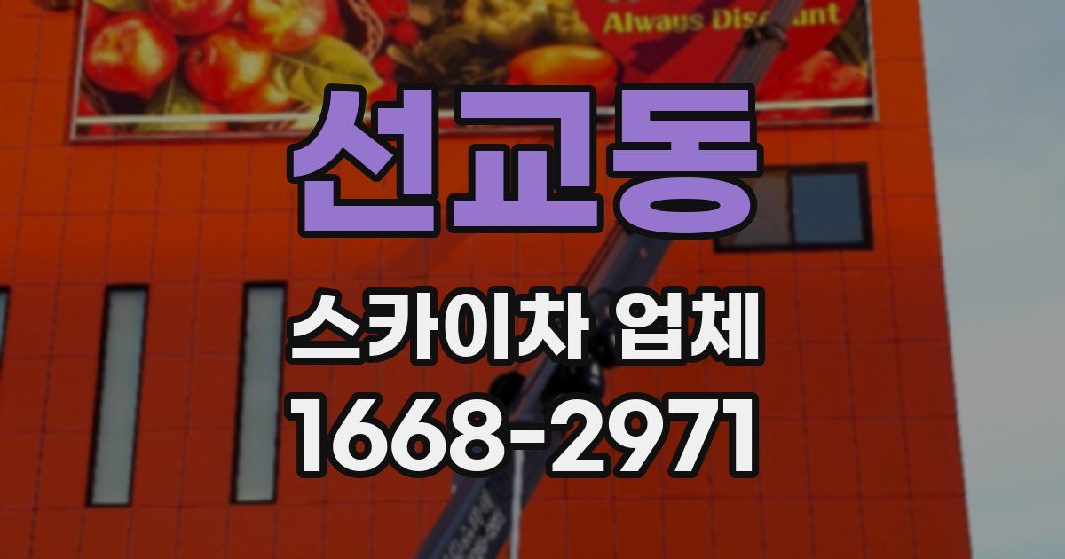 선교동 스카이차 업체
