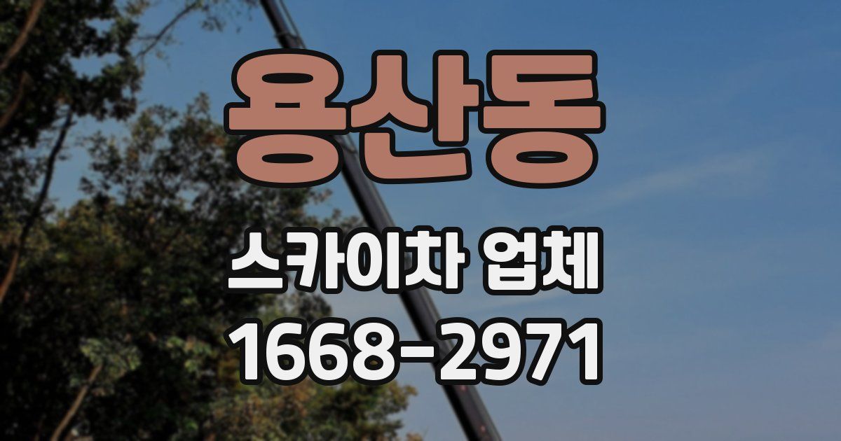 용산동 스카이차 업체