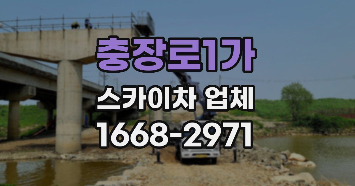 충장로1가 스카이차 업체