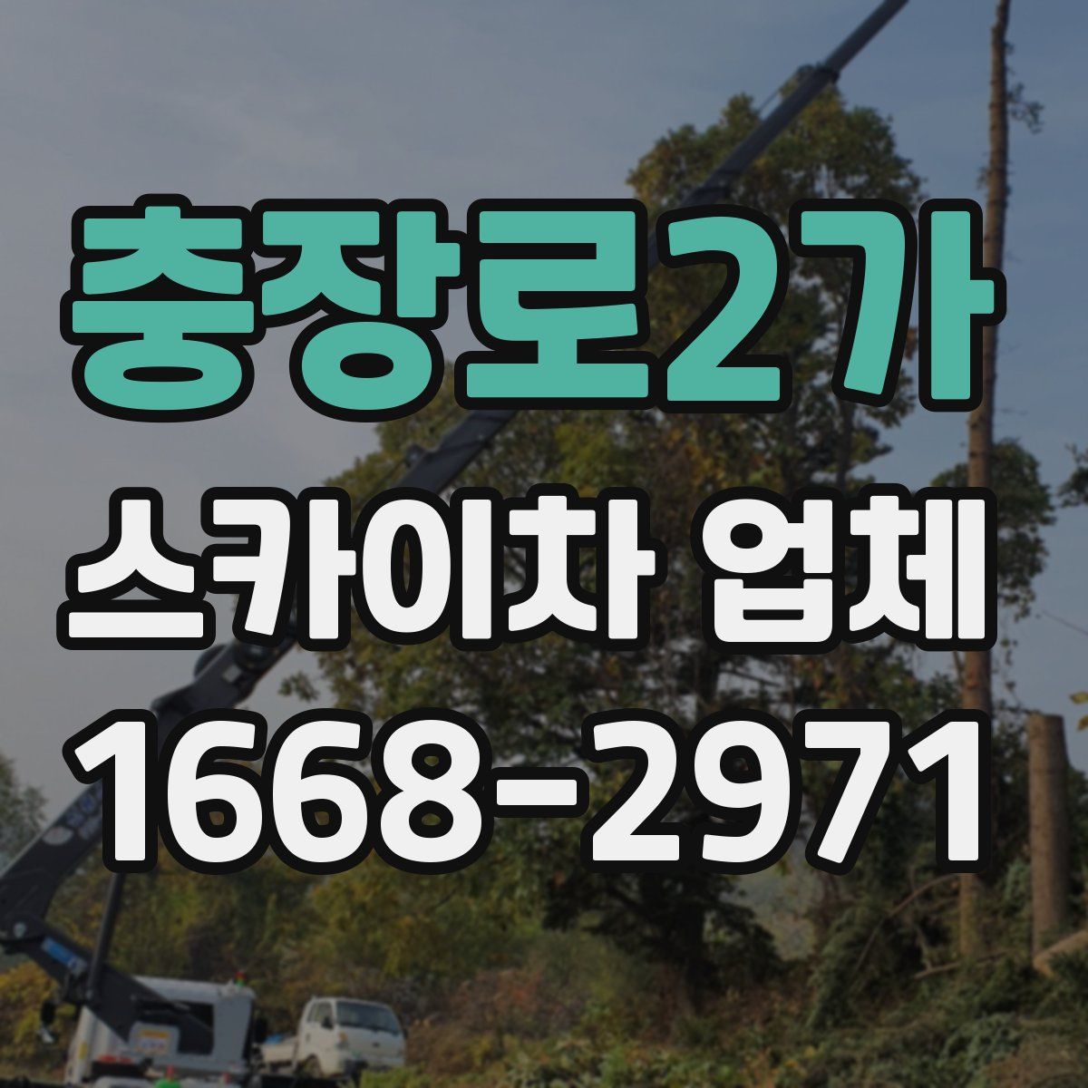 충장로2가 스카이차 업체
