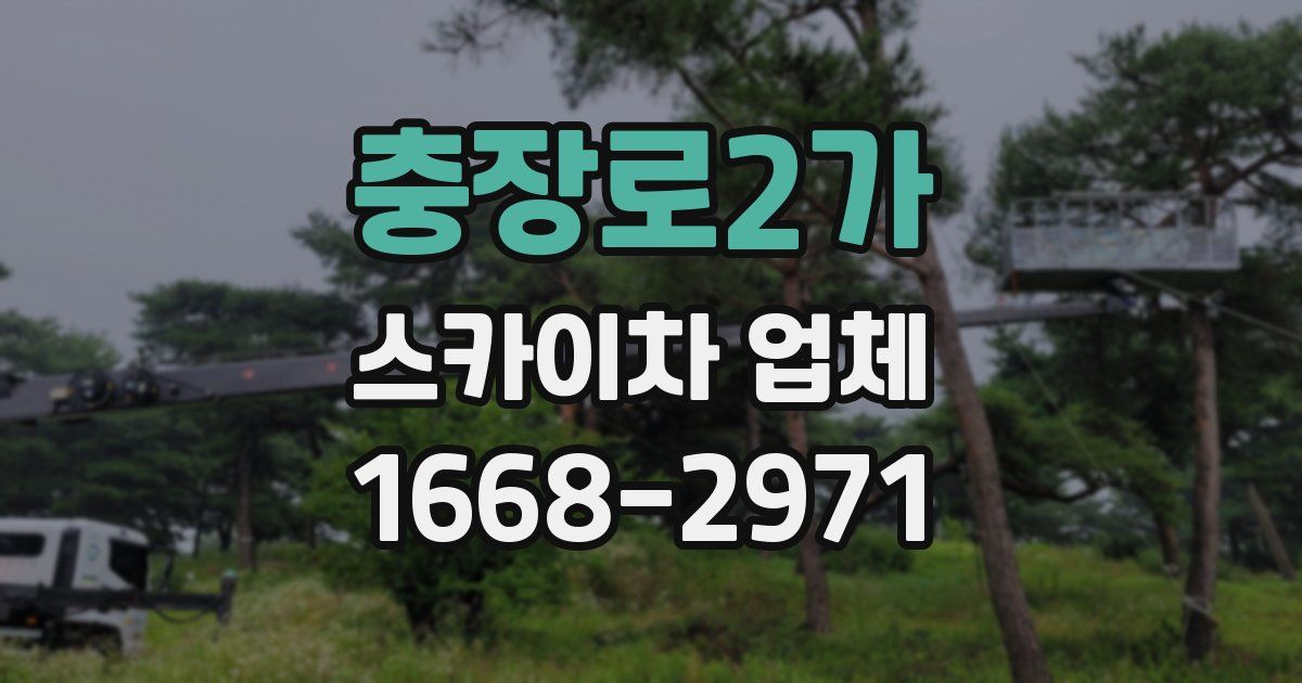 충장로2가 스카이차 업체