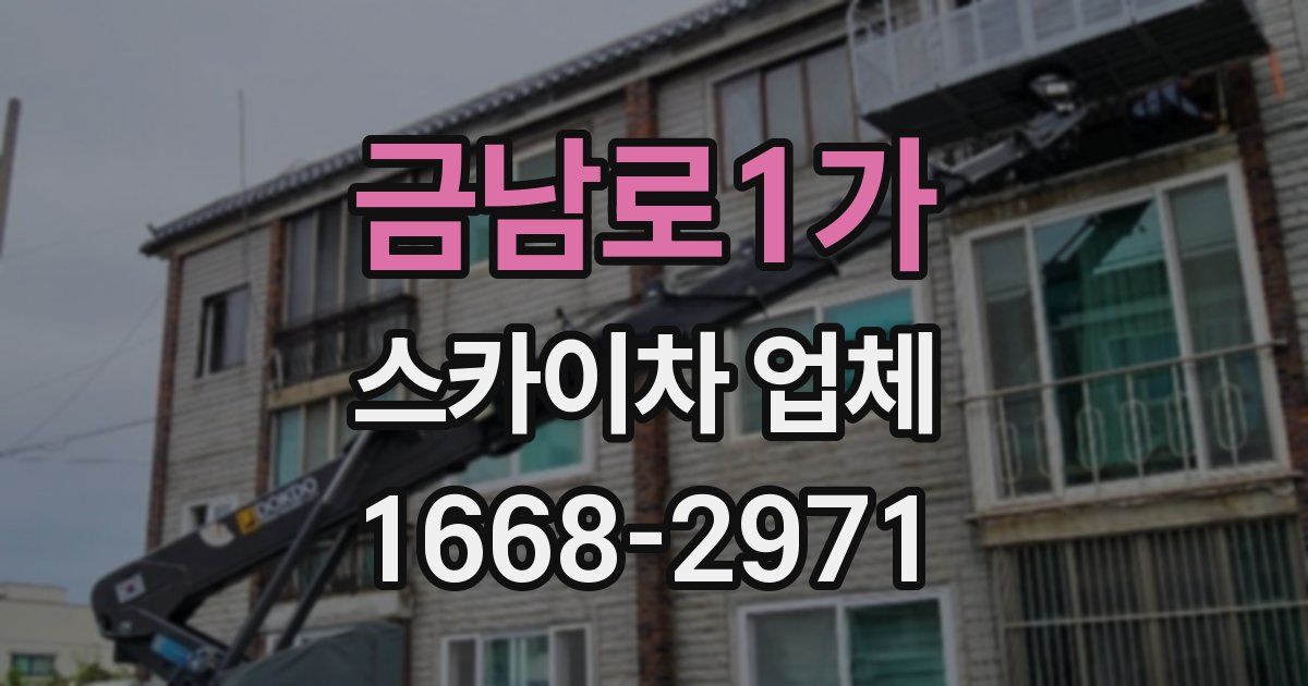 금남로1가 스카이차 업체