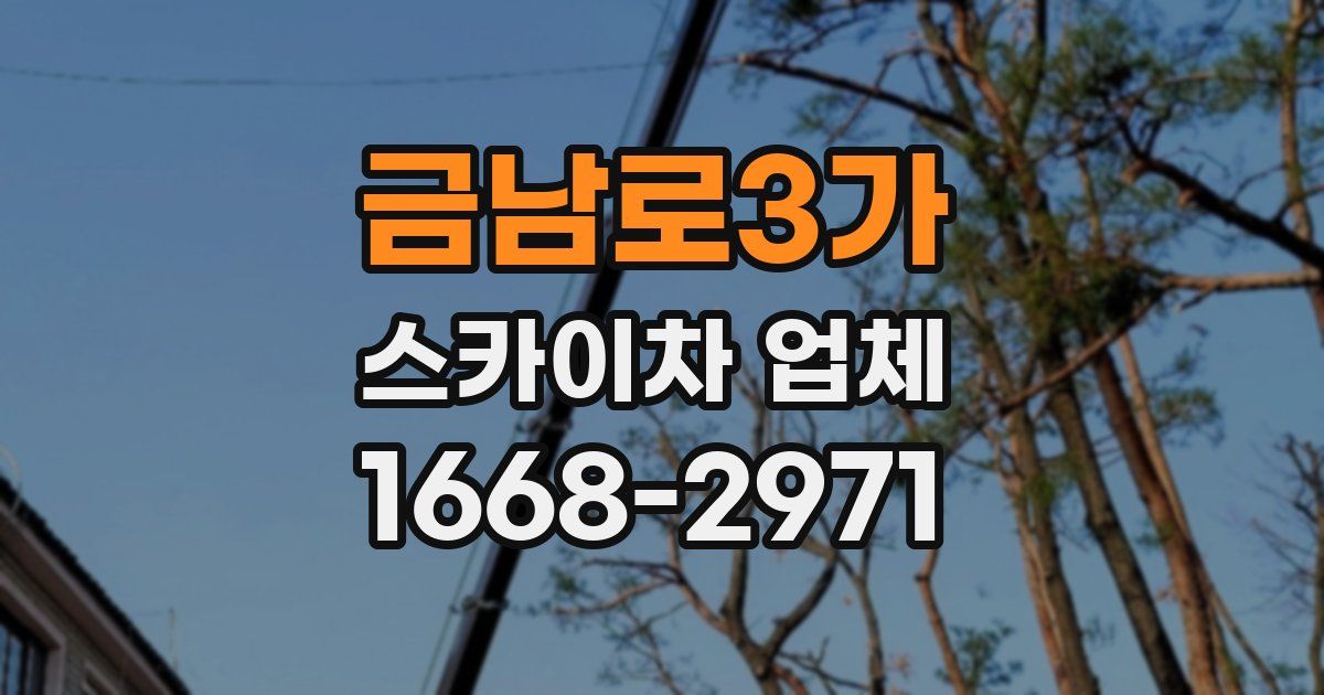 금남로3가 스카이차 업체