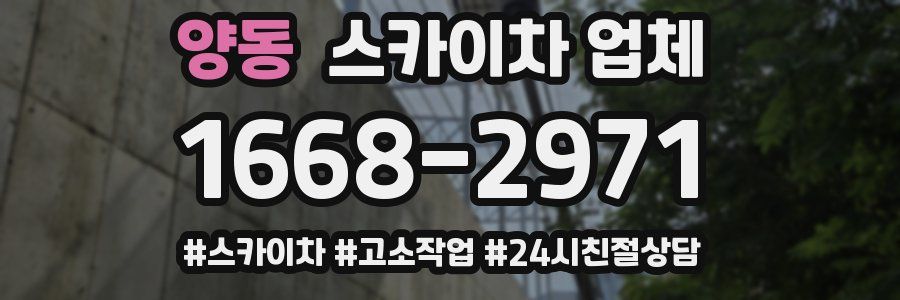 양동 스카이차 업체