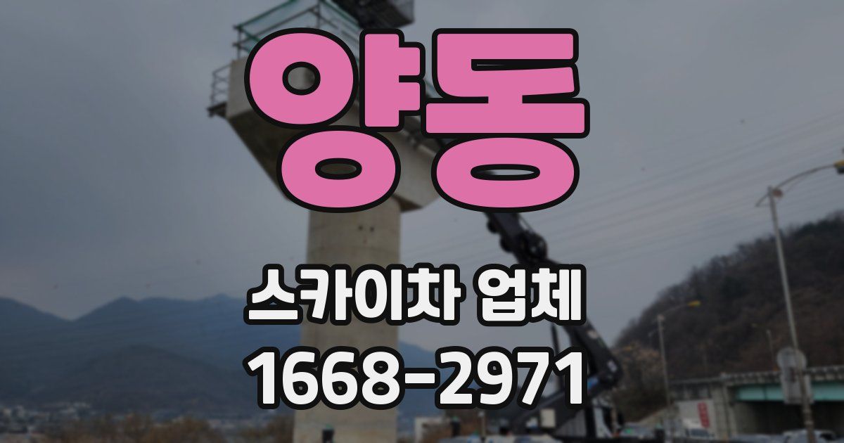 양동 스카이차 업체