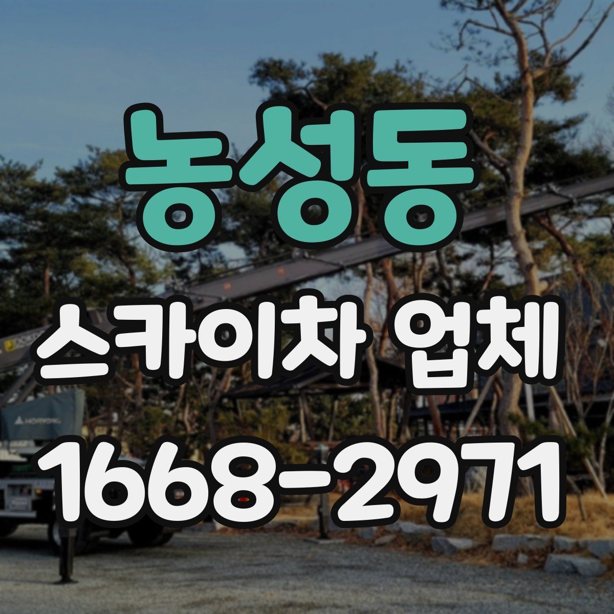 농성동 스카이차 업체
