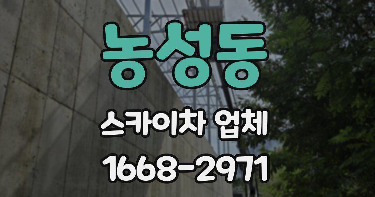 농성동 스카이차 업체