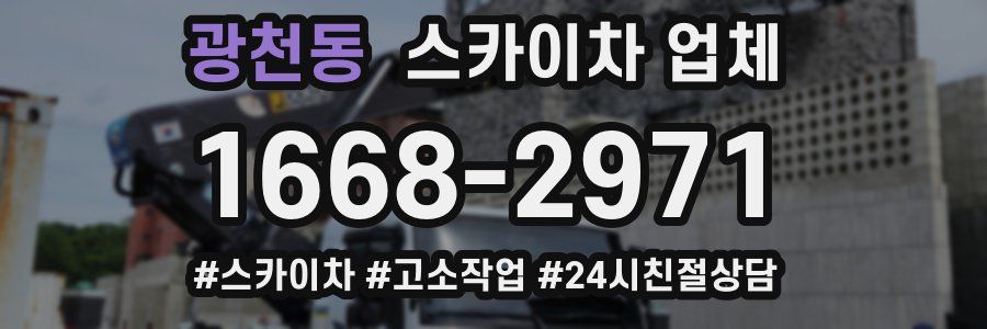 광천동 스카이차 업체