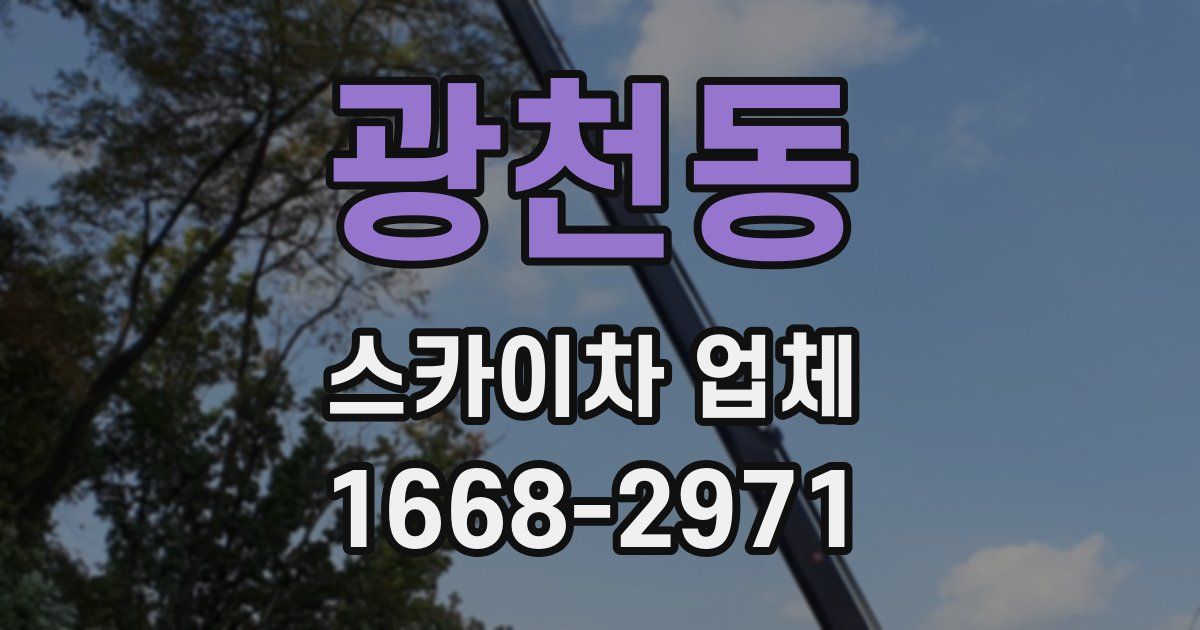 광천동 스카이차 업체