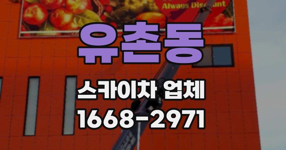 유촌동 스카이차 업체