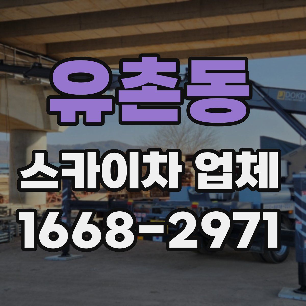 유촌동 스카이차 업체