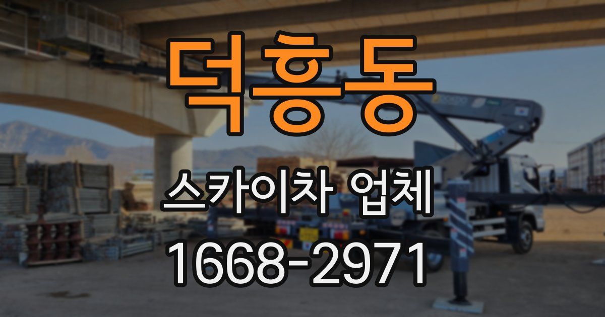 덕흥동 스카이차 업체