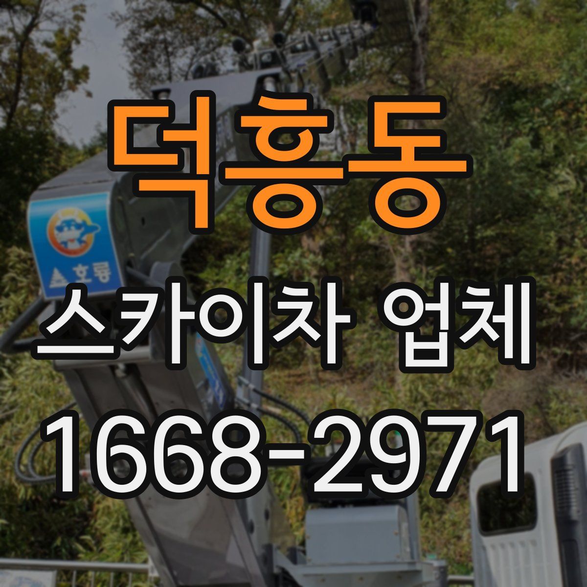 덕흥동 스카이차 업체