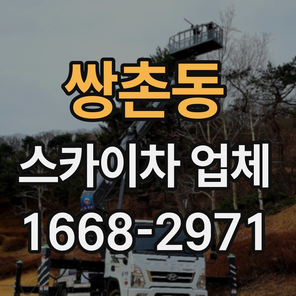 쌍촌동 스카이차 업체