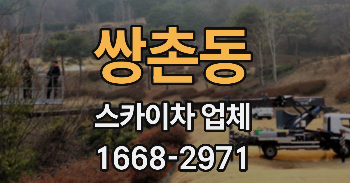 쌍촌동 스카이차 업체