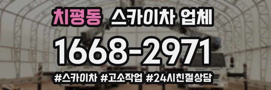 치평동 스카이차 업체