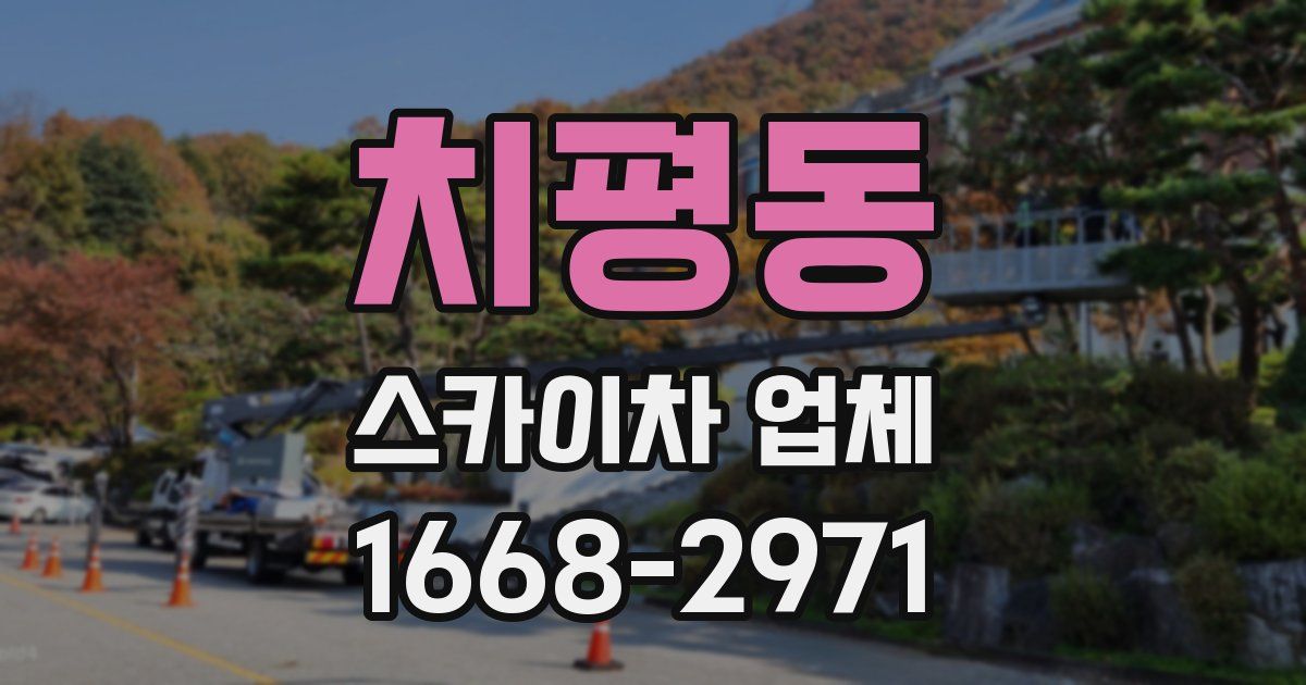 치평동 스카이차 업체