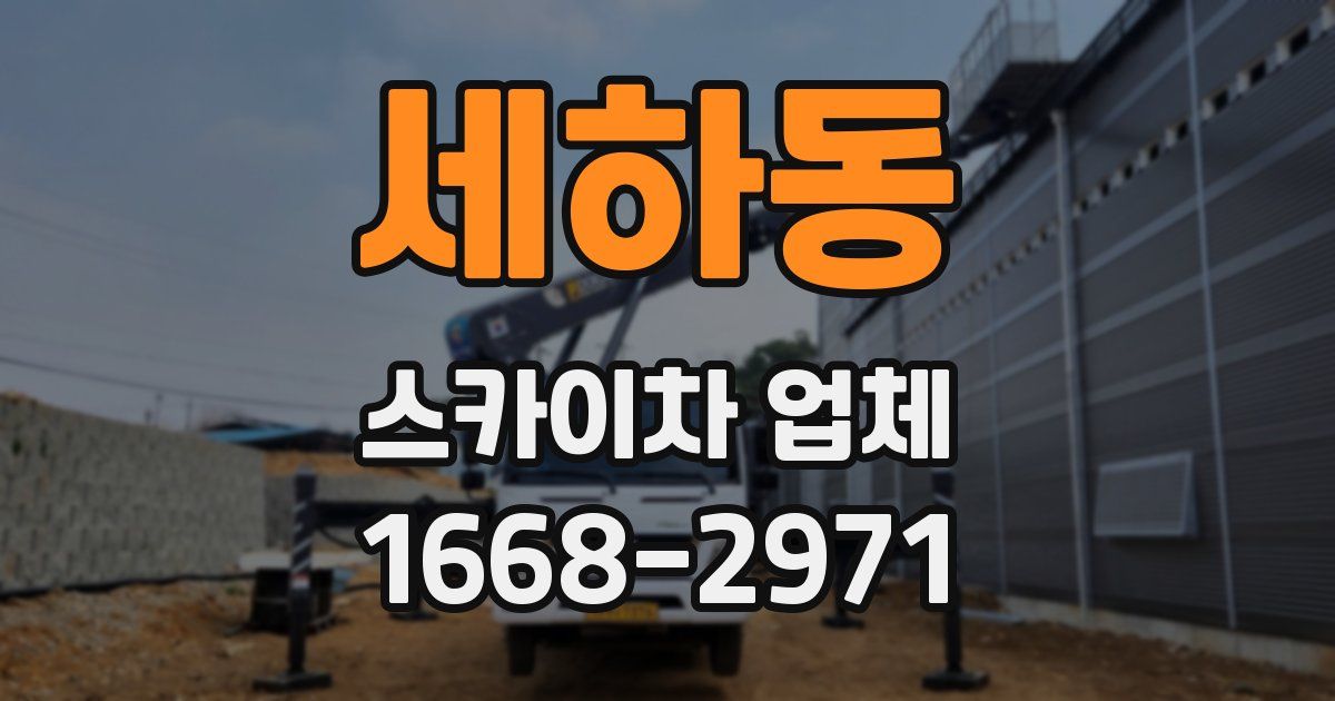 세하동 스카이차 업체