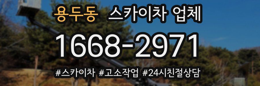 용두동 스카이차 업체