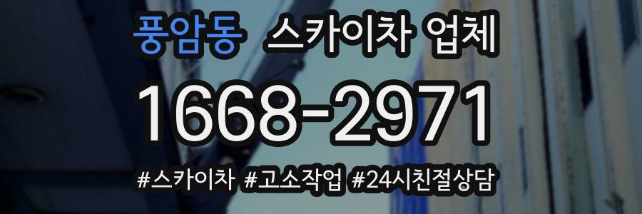 풍암동 스카이차 업체