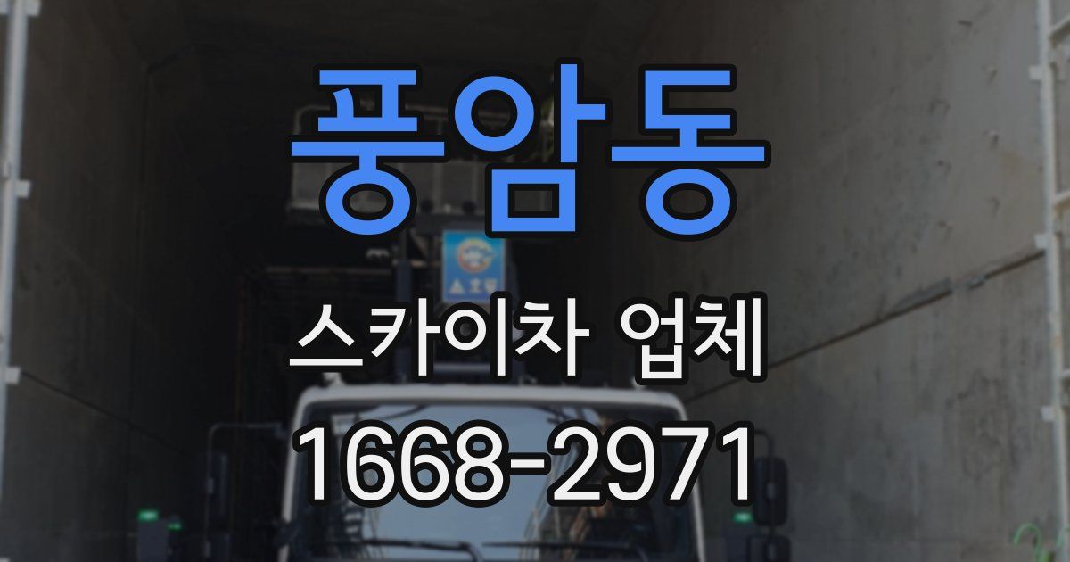 풍암동 스카이차 업체