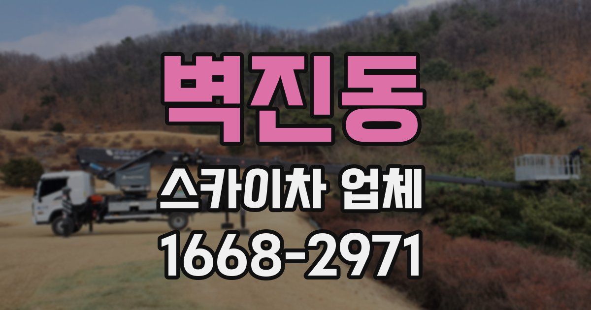 벽진동 스카이차 업체