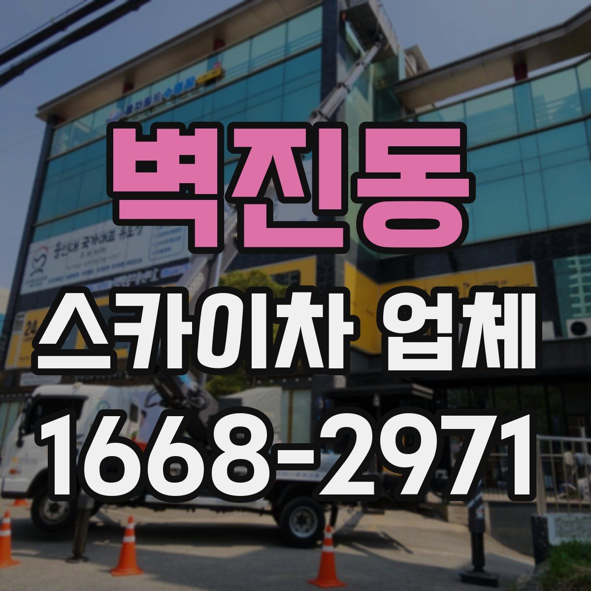 벽진동 스카이차 업체