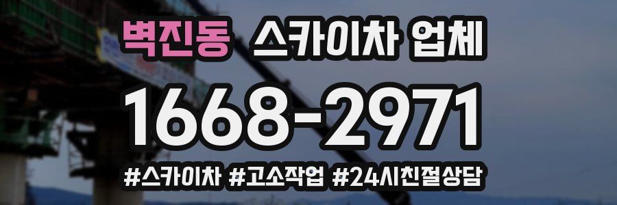 벽진동 스카이차 업체