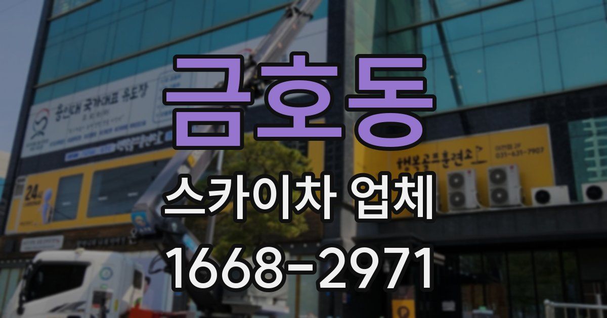 금호동 스카이차 업체