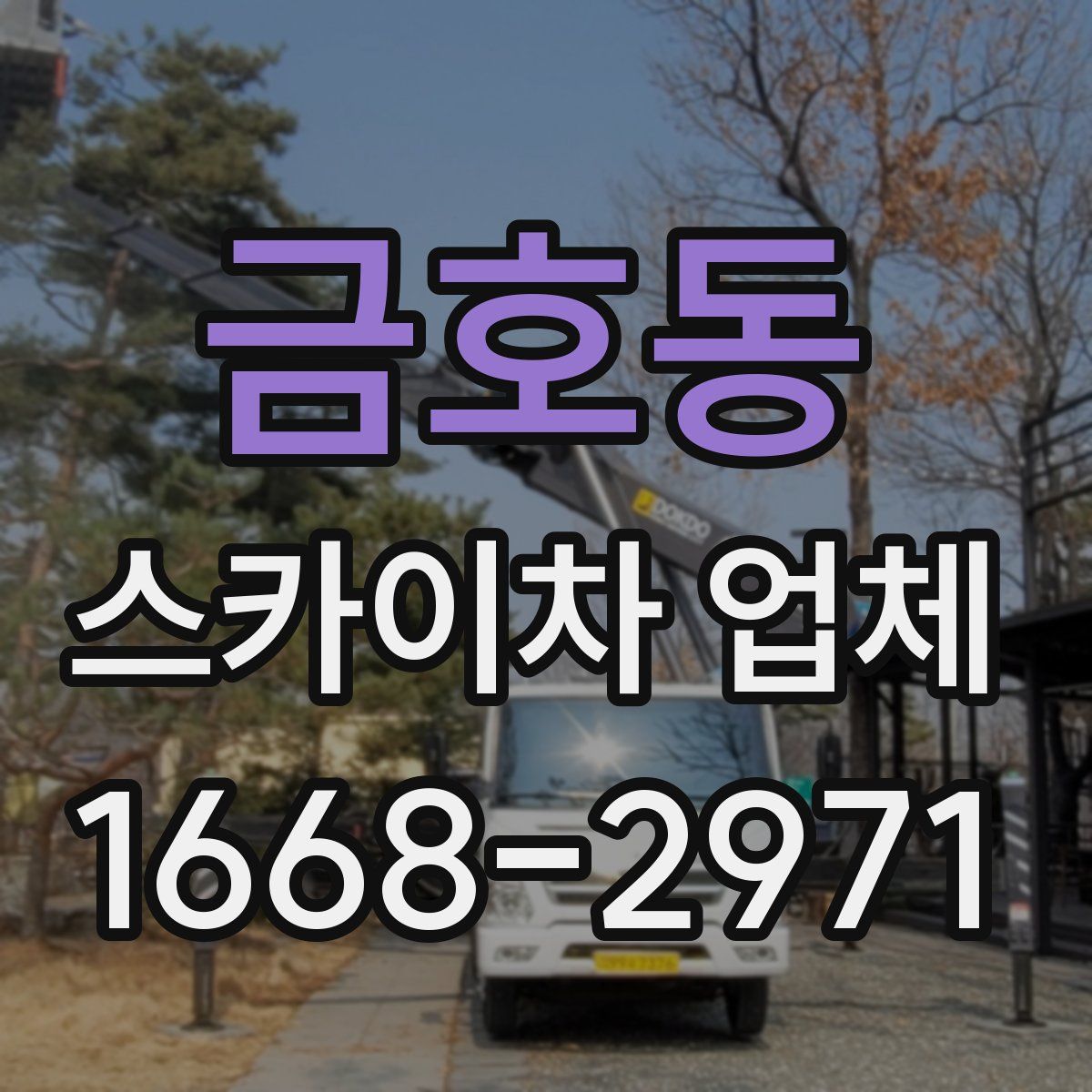 금호동 스카이차 업체