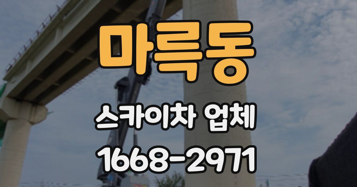마륵동 스카이차 업체