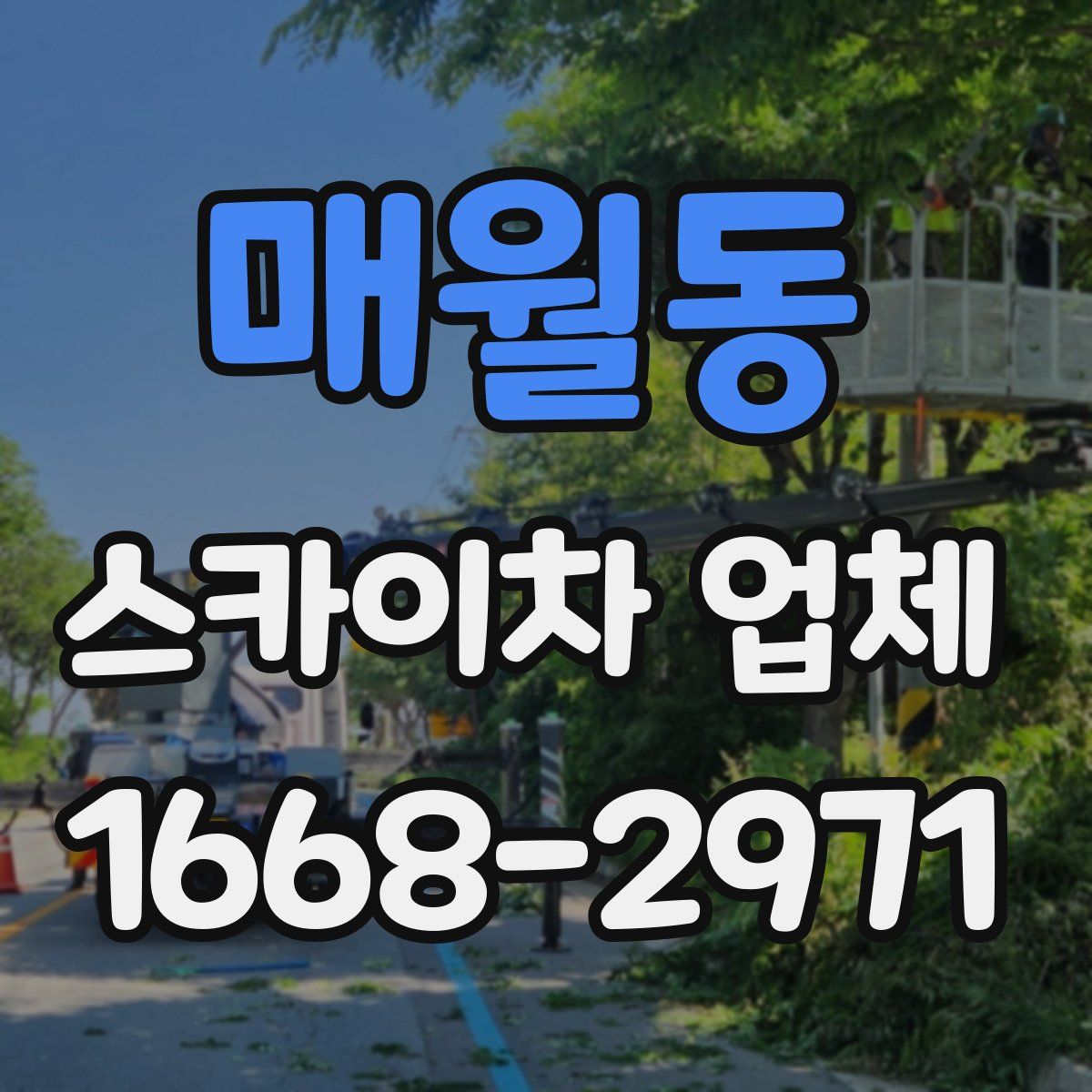 매월동 스카이차 업체