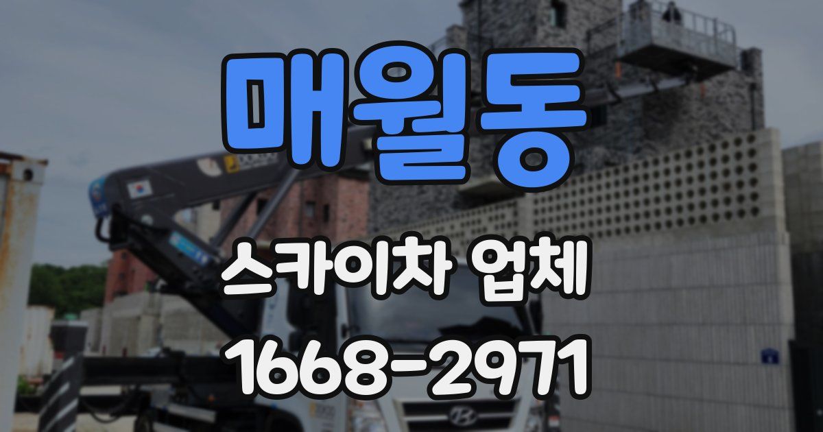매월동 스카이차 업체