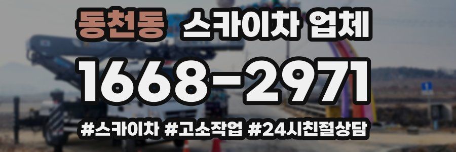 동천동 스카이차 업체