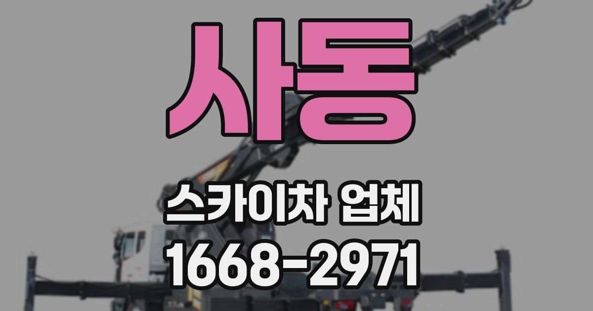 사동 스카이차 업체