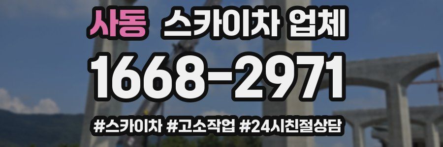 사동 스카이차 업체