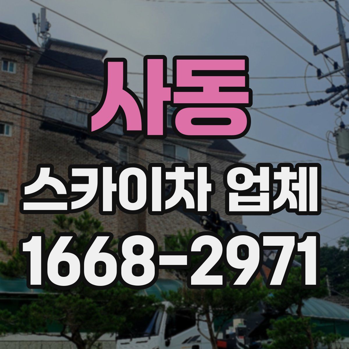 사동 스카이차 업체