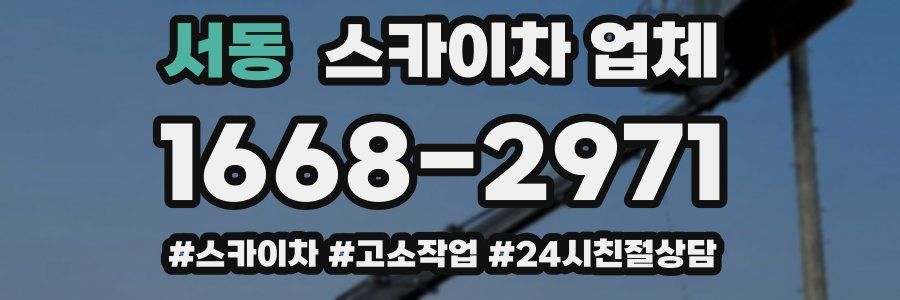 서동 스카이차 업체